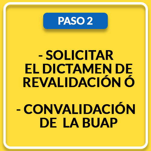 2 (11)