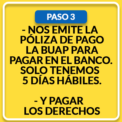 3 (8)